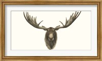 Framed Moose Bust