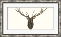 Framed Elk Bust