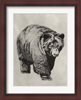 Framed Pen & Ink Bear I
