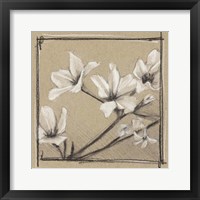Framed White Floral Study I