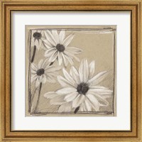 Framed White Floral Study II