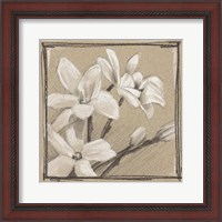Framed White Floral Study III
