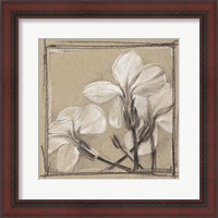 Framed White Floral Study IV