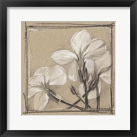 White Floral Study IV Framed Print