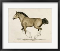 Framed Clydesdale II