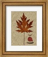 Framed Autumn Leaf I