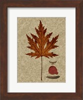 Framed Autumn Leaf I