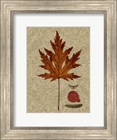 Framed Autumn Leaf I