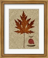 Framed Autumn Leaf I