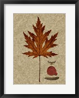 Framed Autumn Leaf I