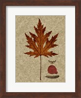 Framed Autumn Leaf I