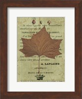 Framed Autumn Leaf II