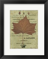 Framed Autumn Leaf II