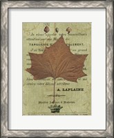 Framed Autumn Leaf II