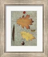 Framed Autumn Leaf III