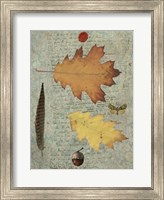 Framed Autumn Leaf III