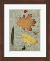 Framed Autumn Leaf III