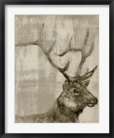 Framed Sepia Elk