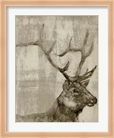 Framed Sepia Elk