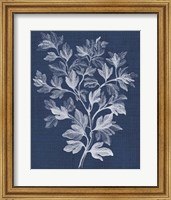 Framed Foliage Chintz I