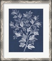 Framed Foliage Chintz I