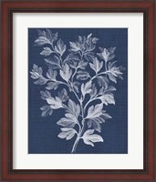 Framed Foliage Chintz I