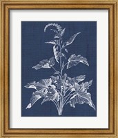 Framed Foliage Chintz II