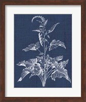 Framed Foliage Chintz II