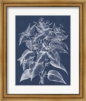 Framed Foliage Chintz III