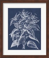 Framed Foliage Chintz III