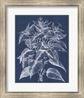 Framed Foliage Chintz III