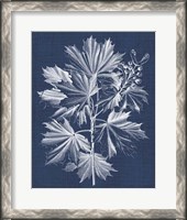 Framed Foliage Chintz V