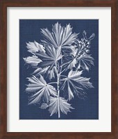 Framed Foliage Chintz V