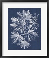 Framed Foliage Chintz V