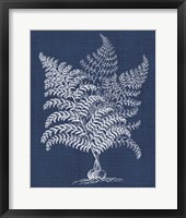 Framed Foliage Chintz VI