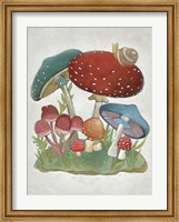 Framed Mushroom Collection I