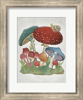 Framed Mushroom Collection I