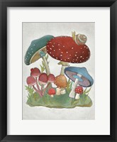 Mushroom Collection I Framed Print