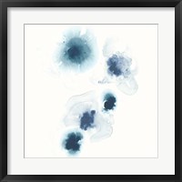 Framed Protea Blue I