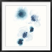 Framed Protea Blue I