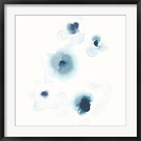 Framed Protea Blue II