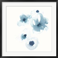 Framed Protea Blue III