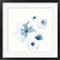 Framed Protea Blue IV