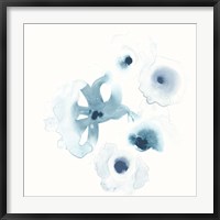 Framed Protea Blue IV