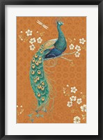Ornate Peacock IX Spice Framed Print