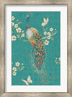 Framed Ornate Peacock XD