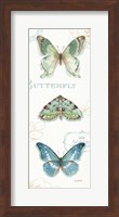 Framed My Greenhouse Butterflies VI