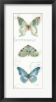 My Greenhouse Butterflies VI Framed Print