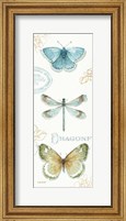 Framed My Greenhouse Butterflies V