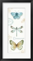My Greenhouse Butterflies V Framed Print